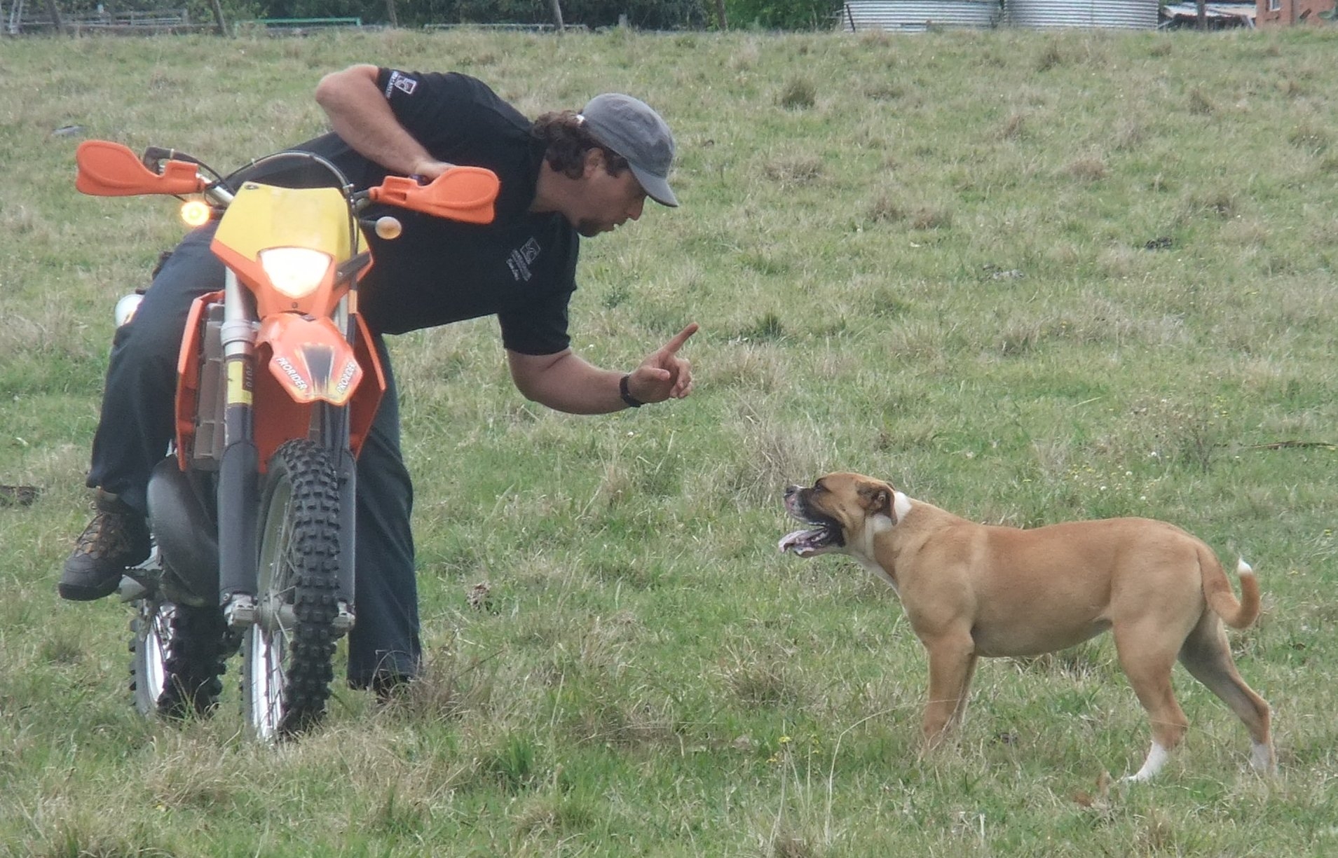 image-235401-Caiovan2.JPG?1422993794772